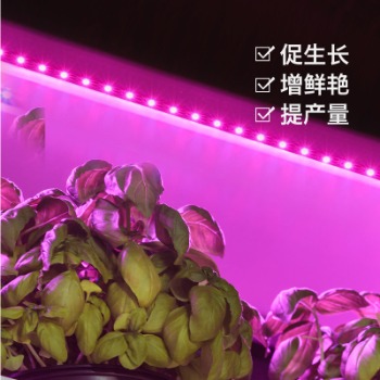 种植植物哪些情况使用植物补光灯？